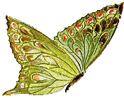 FARFALLE